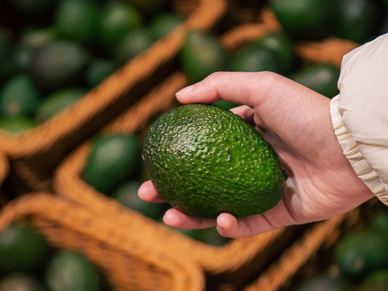 fruitful-exports-procurement-services-1 fruitful-exports-procurement-services-1