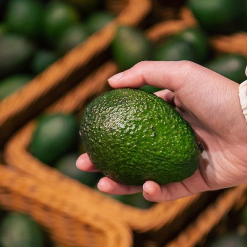 fruitful-exports-procurement-services-1